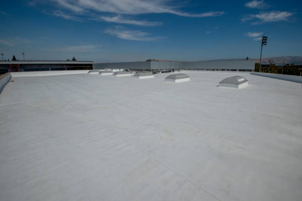 Best Sheet Metal Roofing  in Green Forest, AR