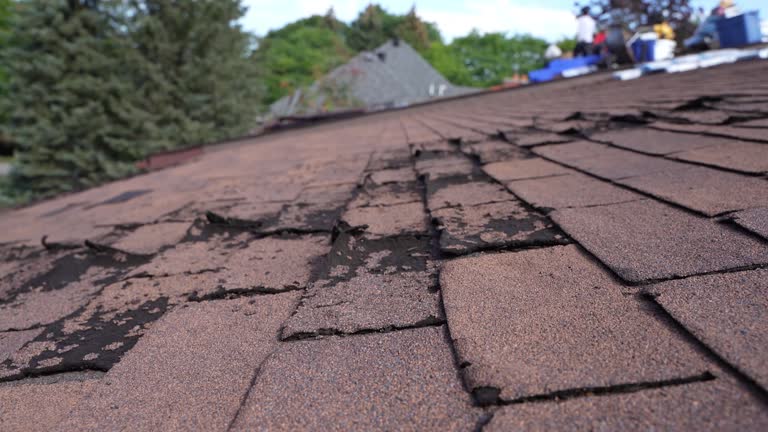 Best Wood Shake Roofing  in Green Forest, AR
