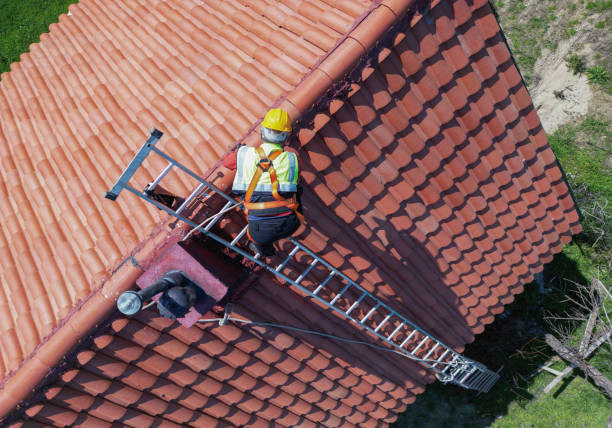 Best Green or Eco-Friendly Roofing Solutions  in Green Forest, AR